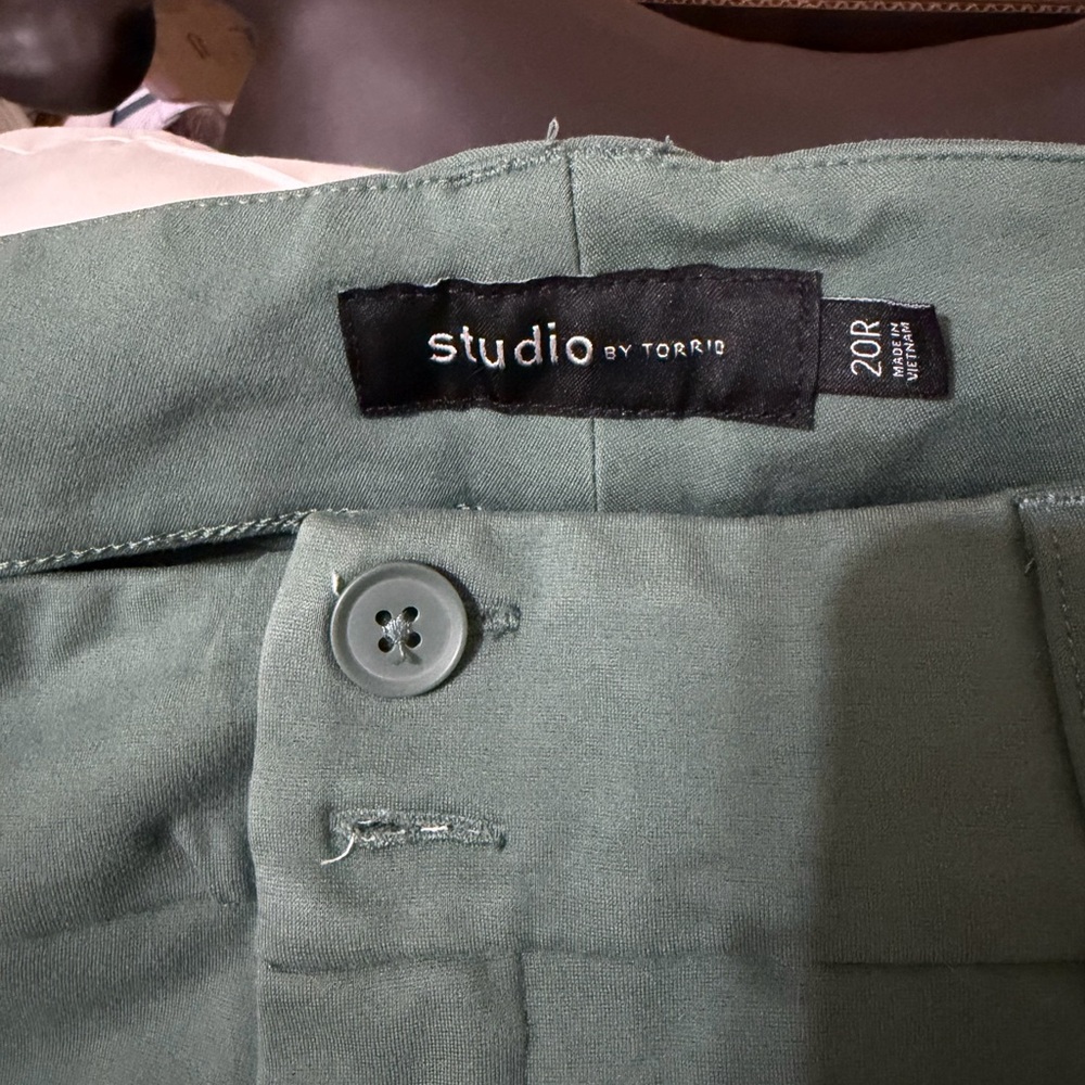 Torrid Studio Green Pants